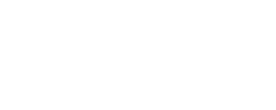 Whitesy - logo